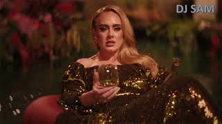 Adele  I Drink Wine [upl. by Miltie]