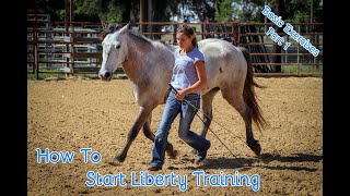 How To Start Liberty Training With Your Horse Basic Exercises Part 1 [upl. by Flavian]