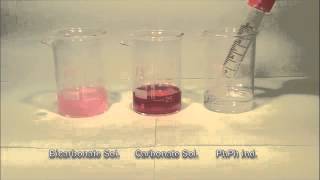 phenolphthalein indicator with carbonate solution and Bicarbonate Solution [upl. by Aigroeg]