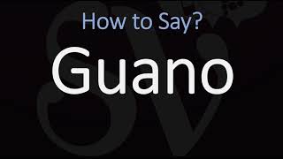 How to Pronounce Guano CORRECTLY [upl. by Llemor]