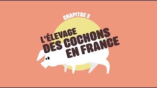 L214 EDUCATION  Nourrir lhumanité 3  Lélevage des cochons en France  dessin animé [upl. by Keemahs]