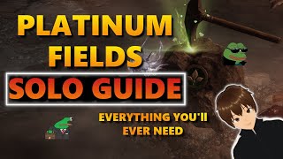 LOST ARK PLATINUM FIELDS SOLO GUIDE [upl. by Kalagher]