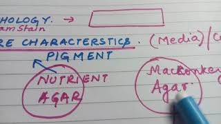 Gram negative bacilli  easy lecture [upl. by Elwyn]