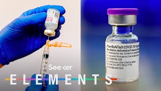 What’s In the Pfizer amp Moderna COVID Vaccines [upl. by Deanna]