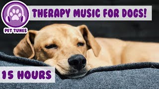 How to Relax my Dog in my House New Calming Music Has Helped Over 4 Million Pets  Pet Therapy [upl. by Aicittel]