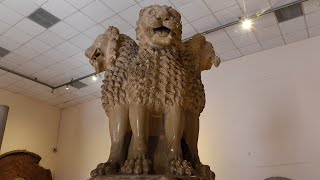 Lion Capital of Ashoka At Sarnath Archaeological Museum Near Varanasi India [upl. by Younglove]