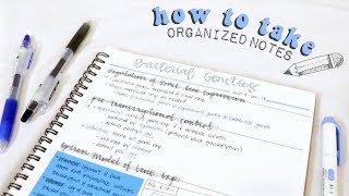 how to take organized notes amp study effectively  christylynn [upl. by Godber887]