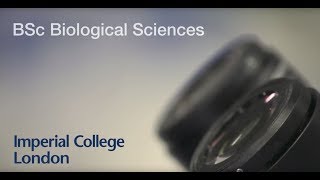 Biological Sciences BSc  Imperial College London [upl. by Arodal]