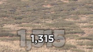 Long Range Hunting  54 KILL SHOTS  Extreme Outer Limits TV [upl. by Norek199]