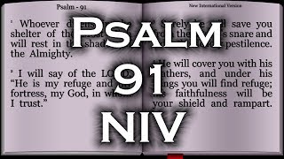 Psalm 91  New International Version NIV [upl. by Atillertse]