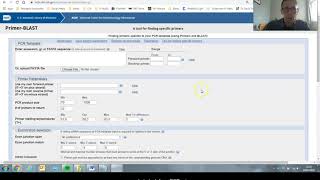 How to use PrimerBlast to create PCR primers [upl. by Aelrac761]