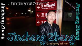 Jincheng Zhang  Practice Instrumental Version Background Music Official Audio [upl. by Ahseyt]