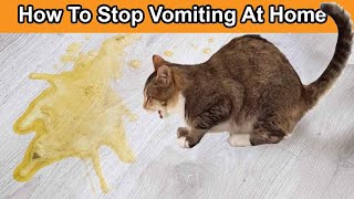 Why Do Cats Vomit How to Stop Vomiting At Home [upl. by Pernick617]