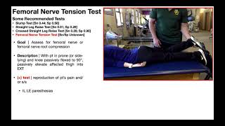 Femoral Nerve Tension Test  Rationale amp Interpretation [upl. by Atinahc]