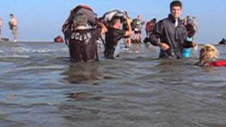 Wadlopen Ameland [upl. by Raquel]