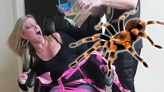 TERRIFYING TARANTULA PRANK [upl. by Tnecniv]