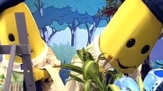 Classic Compilation 24  Full Episodes  Bananas in Pyjamas Official [upl. by Zenobia69]