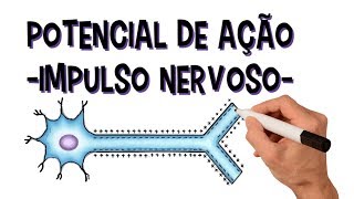 Sistema nervoso Potencial de ação  Impulso Nervoso  Despolarização  Repolarização  Refratário [upl. by Alejandra]