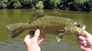 Indiana Kayak Fishing Tippecanoe Smallmouth 7818 [upl. by Millwater]