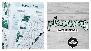 PLANNERS Y ORGANIZADORES GRATIS PARA IMPRIMIR  ORGANIZA TU TIEMPO  TRILCE ARANA [upl. by Berard979]