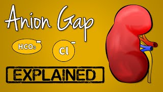 Anion Gap EXPLAINED [upl. by Aisatsana]