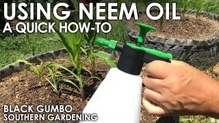 How To Use Neem Oil in the Garden  Black Gumbo [upl. by Seuqram]