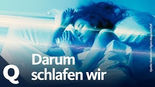 Mehr als lebenswichtig Darum schlafen wir  Quarks [upl. by Oalsinatse]