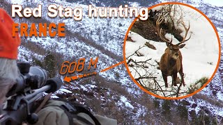 Red Stag Hunting in France  Chasse au Cerf en France  2021 [upl. by Nahamas]