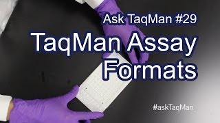 TaqMan Assay Formats Explained  Ask TaqMan 29 [upl. by Aisel97]