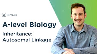 Inheritance Autosomal Linkage  Alevel Biology  OCR AQA Edexcel [upl. by Enerual]