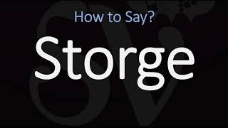 How to Pronounce Storge CORRECTLY LOVE Meaning amp Pronunciation [upl. by Eidda]