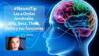 Las 4 Ondas cerebrales Alfa Beta Theta Delta y sus FUNCIONES [upl. by Nyrahs]