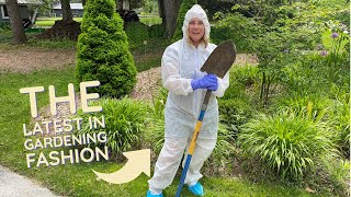 Bye bye boxwood blight 🌿 Removing boxwoods from my garden [upl. by Sallad]