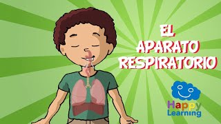 EL APARATO RESPIRATORIO  Videos Educativos para Niños [upl. by Seligmann944]