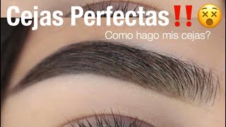 Cejas Perfectas Facil Paso a Paso  Monika Sanchez [upl. by Claman]