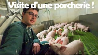 Visite de la porcherie  Suivezmoi  🐷😉 [upl. by Eimorej802]