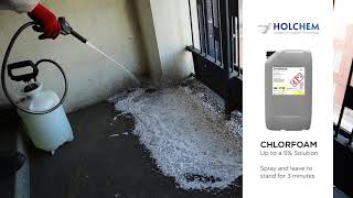 Safe Removal Of Bird Droppings [upl. by Celio]