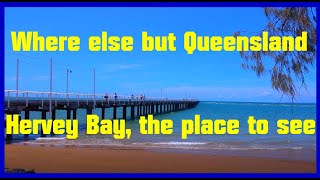 Hervey Bay Part one The Charlton Esplanade [upl. by Neiman584]