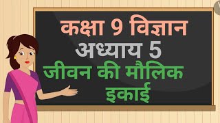 कक्षा 9 विज्ञान अध्याय  5 जीवन की मौलिक इकाई ncert  class 9 science chapter 5 hindi medium [upl. by Bal]