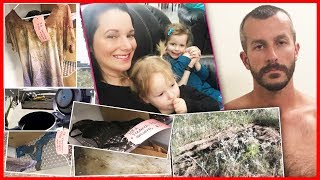 Shocking Evidence From Horrific Family Murder in Colorado [upl. by Einhpets322]