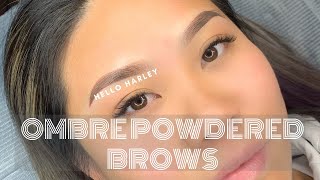 Ombre Powdered Brows The Process [upl. by Ym921]