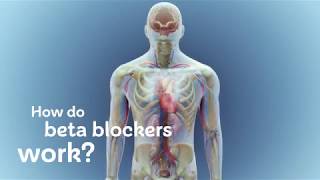 How do beta blockers work [upl. by Tiphany]