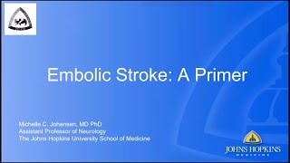 Embolic Stroke A Primer  Dr Michelle Johansen [upl. by Dustman]