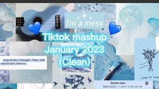 Tiktok mashup January 2023 clean [upl. by Juli63]