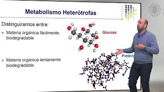 Metabolismo de las Bacterias Heterótrofas   UPV [upl. by Waldron]