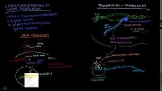 Khan Academy Talent Search  RNAi [upl. by Dodds]