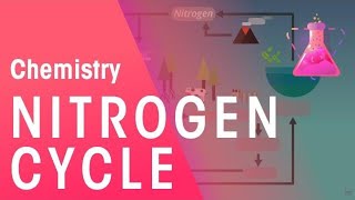 The Nitrogen Cycle  Environmental Chemistry  Chemistry  FuseSchool [upl. by Bright741]