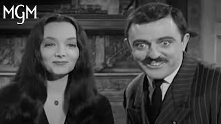 Best of Morticia amp Gomez Addams  MGM Studios [upl. by Dnalrah]