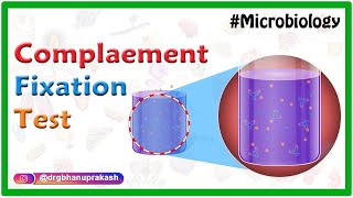 Complement Fixation test  Microbiology animations [upl. by Vadnee]