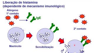 HISTAMINA E ANTI HISTAMINICOS [upl. by Aihsel146]